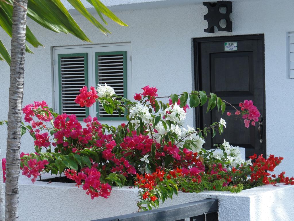 Plum Tree Club Apartment ไครสต์เชิร์ช ภายนอก รูปภาพ